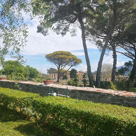 Appartement Il Giardino Di Athena 1 à Paestum Extérieur photo