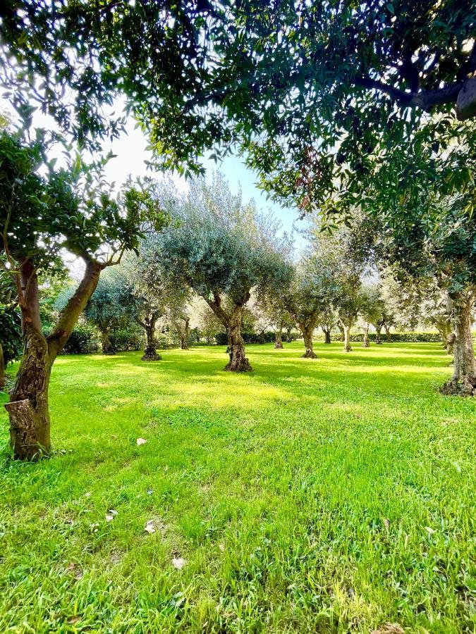 Appartement Il Giardino Di Athena 1 à Paestum Extérieur photo