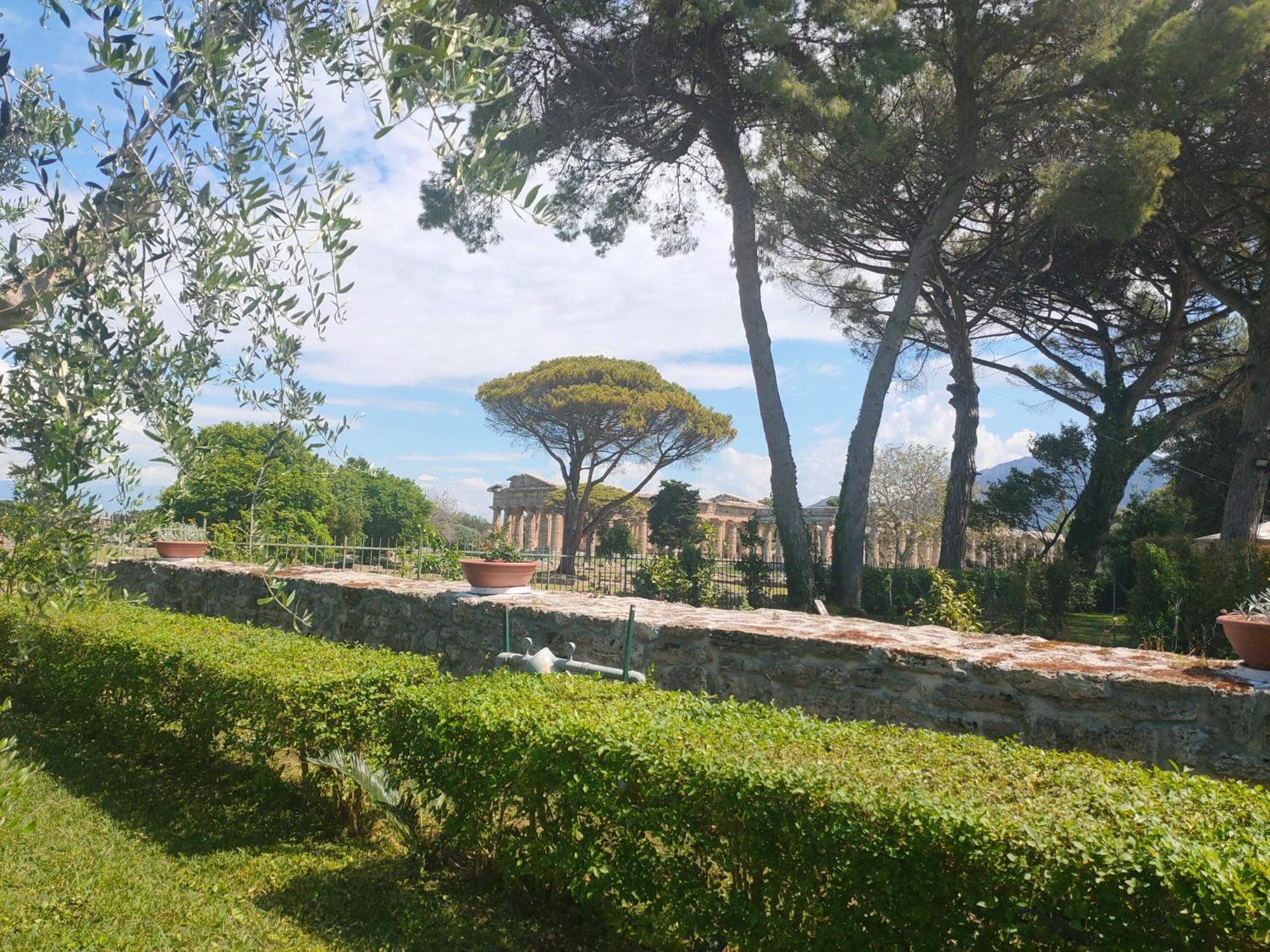 Appartement Il Giardino Di Athena 1 à Paestum Extérieur photo