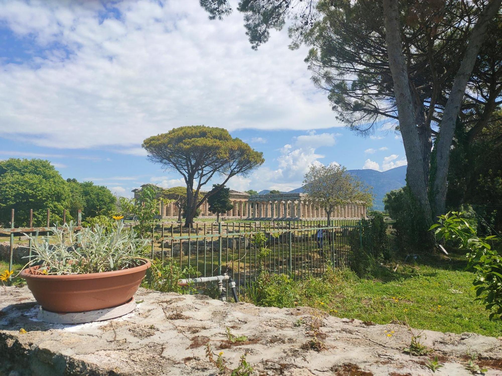 Appartement Il Giardino Di Athena 1 à Paestum Chambre photo