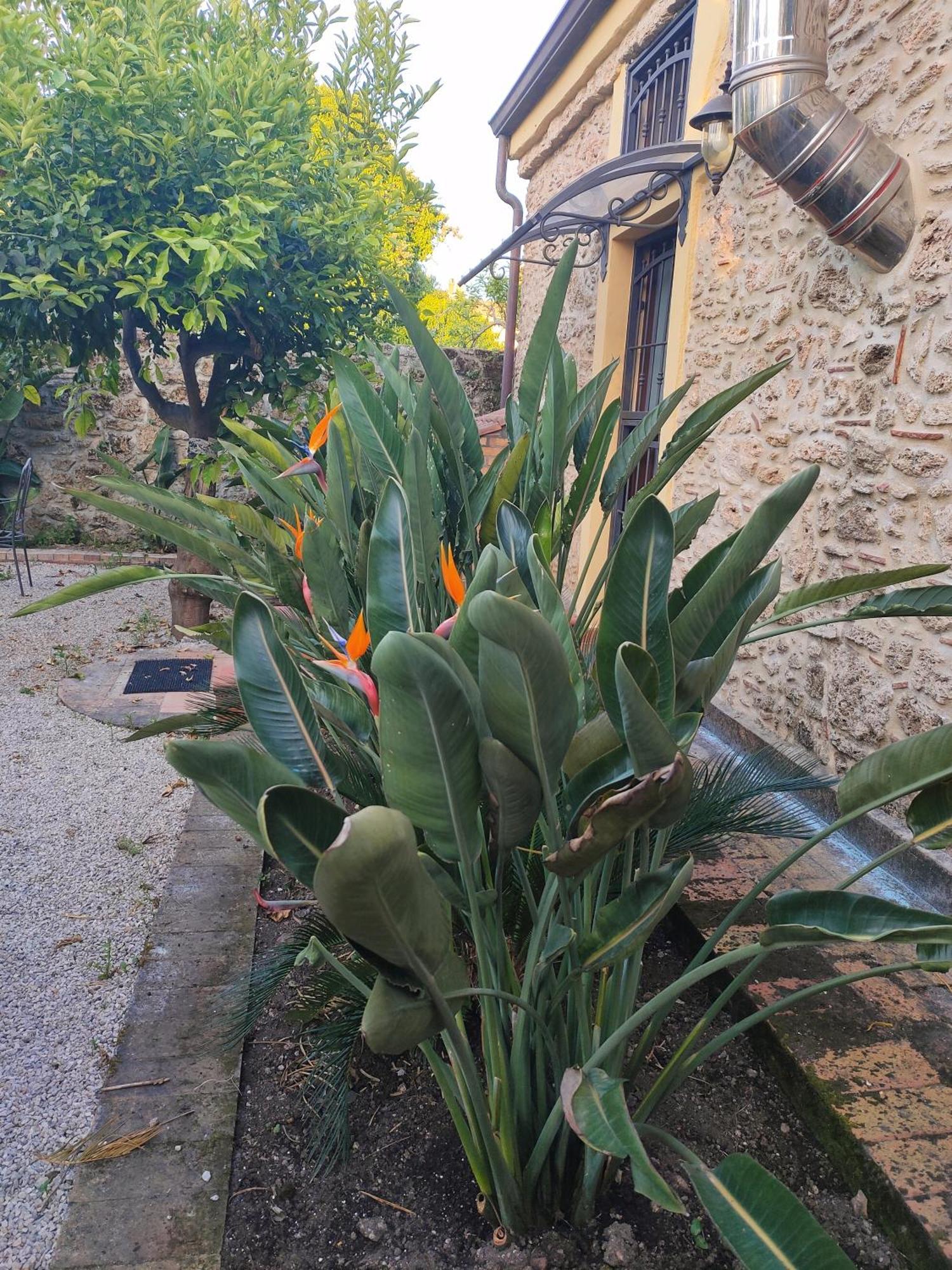 Appartement Il Giardino Di Athena 1 à Paestum Extérieur photo